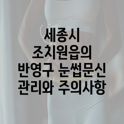 세종시 조치원읍의 반영구 눈썹문신 관리와 주의사항