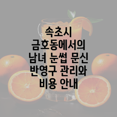 속초시 금호동에서의 남녀 눈썹 문신 반영구 관리와 비용 안내