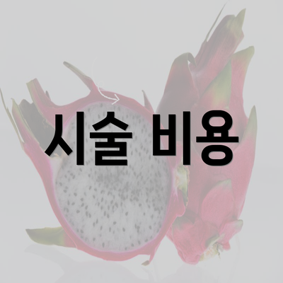 시술 비용