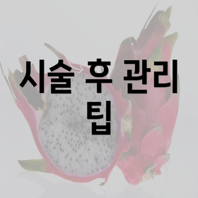 시술 후 관리 팁