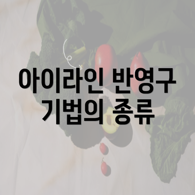 아이라인 반영구 기법의 종류