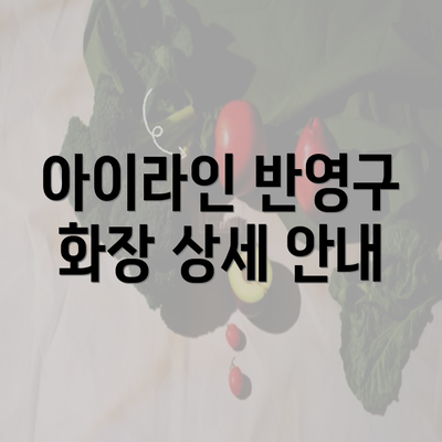 아이라인 반영구 화장 상세 안내