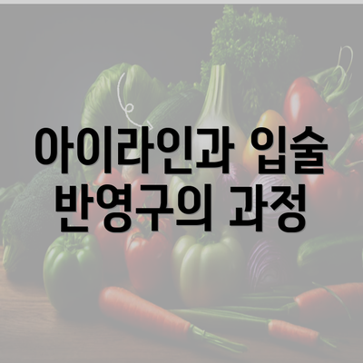 아이라인과 입술 반영구의 과정