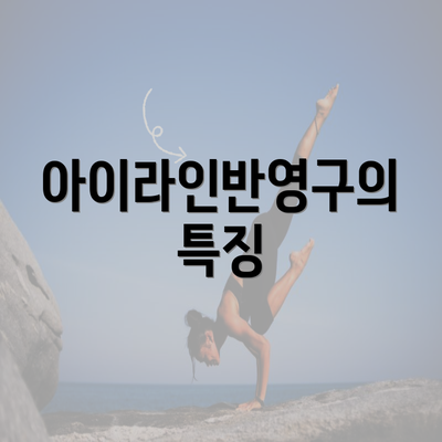 아이라인반영구의 특징