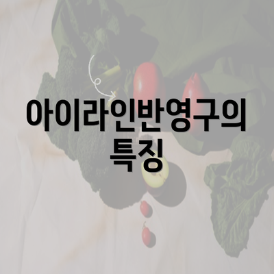 아이라인반영구의 특징