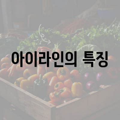 아이라인의 특징