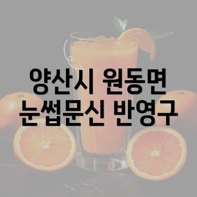 양산시 원동면 눈썹문신 반영구