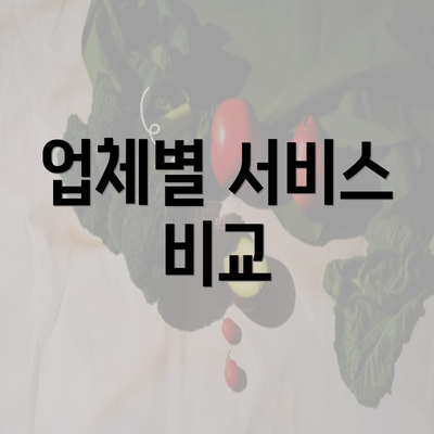 업체별 서비스 비교