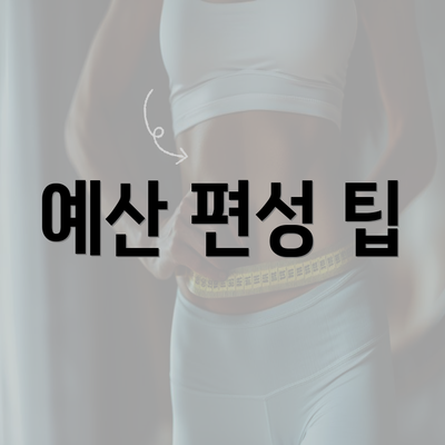 예산 편성 팁