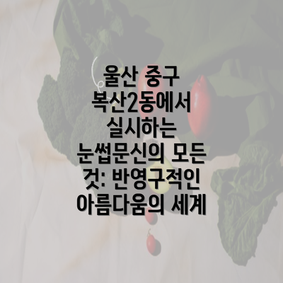 울산 중구 복산2동에서 실시하는 눈썹문신의 모든 것: 반영구적인 아름다움의 세계