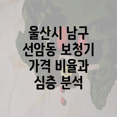 울산시 남구 선암동 보청기 가격 비율과 심층 분석