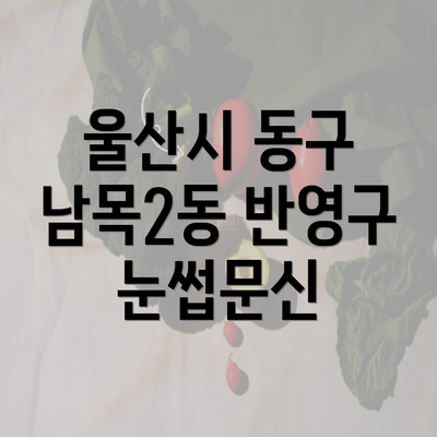 울산시 동구 남목2동 반영구 눈썹문신