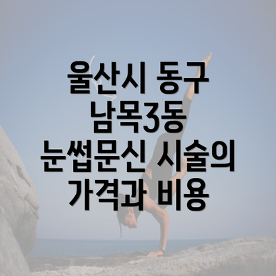 울산시 동구 남목3동 눈썹문신 시술의 가격과 비용