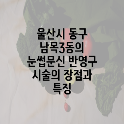 울산시 동구 남목3동의 눈썹문신 반영구 시술의 장점과 특징