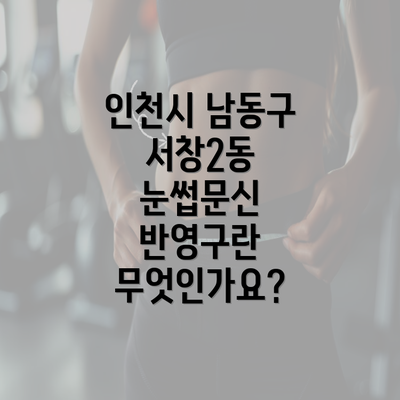 인천시 남동구 서창2동 눈썹문신 반영구란 무엇인가요?