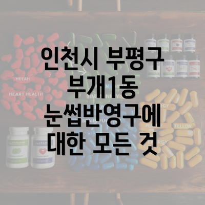 인천시 부평구 부개1동 눈썹반영구에 대한 모든 것