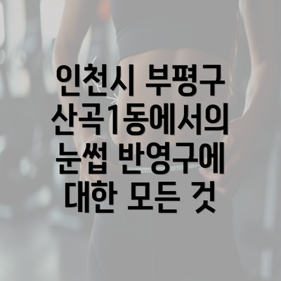 인천시 부평구 산곡1동에서의 눈썹 반영구에 대한 모든 것