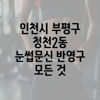 인천시 부평구 청천2동 눈썹문신 반영구 모든 것