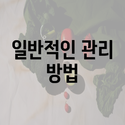 일반적인 관리 방법