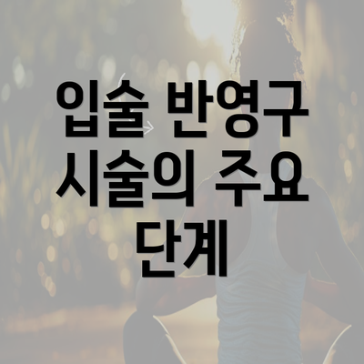 입술 반영구 시술의 주요 단계