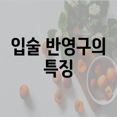 입술 반영구의 특징