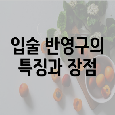 입술 반영구의 특징과 장점