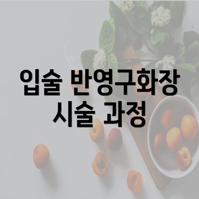 입술 반영구화장 시술 과정