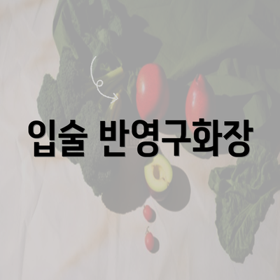 입술 반영구화장