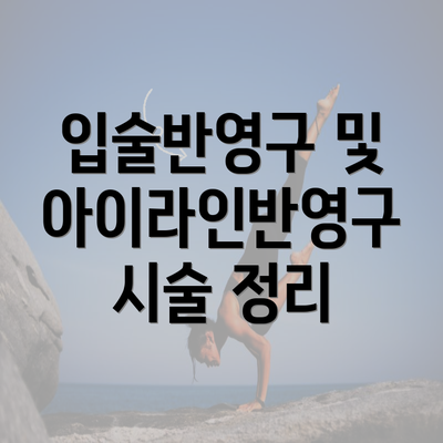 입술반영구 및 아이라인반영구 시술 정리