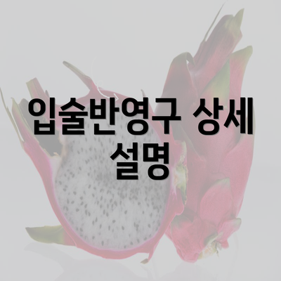 입술반영구 상세 설명