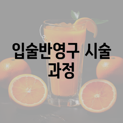 입술반영구 시술 과정