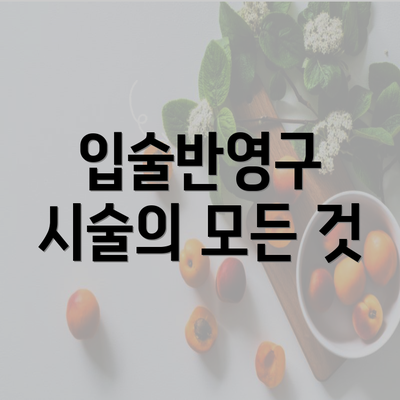 입술반영구 시술의 모든 것