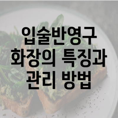 입술반영구 화장의 특징과 관리 방법