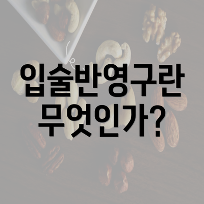 입술반영구란 무엇인가?