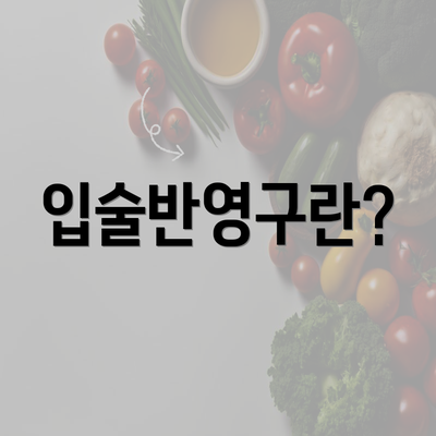 입술반영구란?