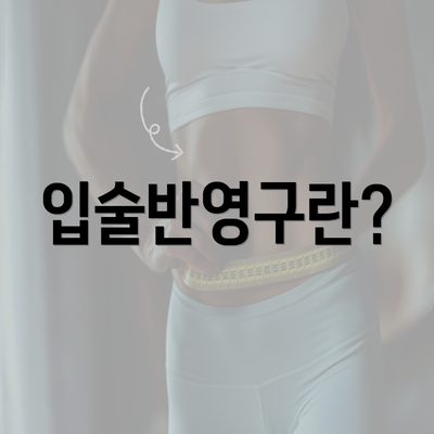 입술반영구란?