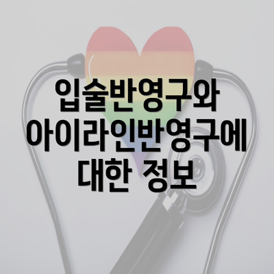 입술반영구와 아이라인반영구에 대한 정보