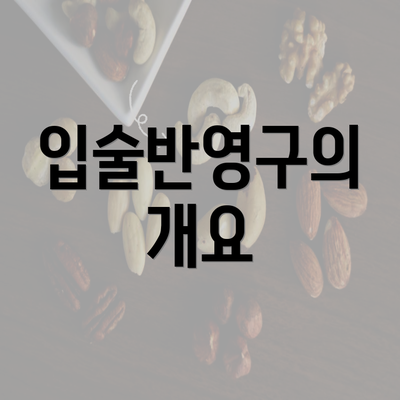 입술반영구의 개요