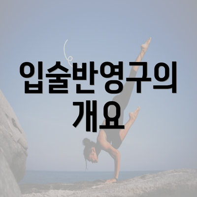 입술반영구의 개요