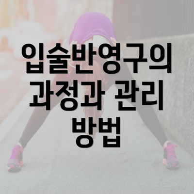 입술반영구의 과정과 관리 방법