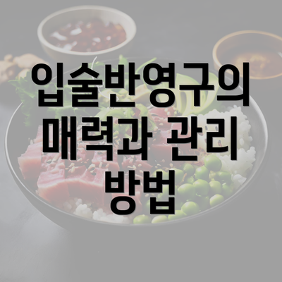 입술반영구의 매력과 관리 방법