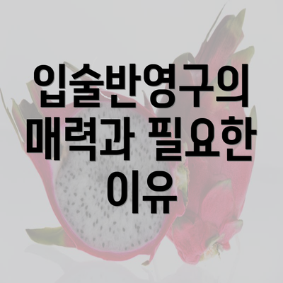 입술반영구의 매력과 필요한 이유