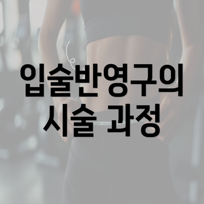 입술반영구의 시술 과정