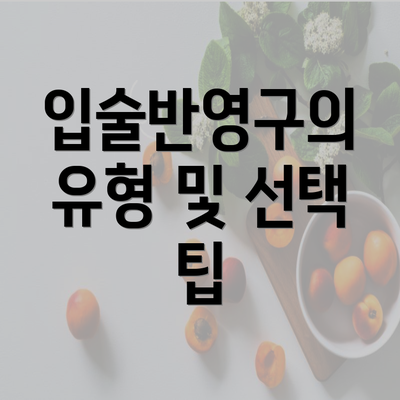 입술반영구의 유형 및 선택 팁