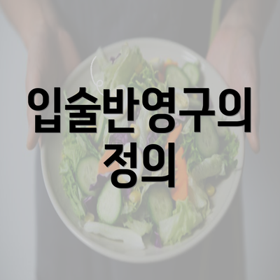 입술반영구의 정의