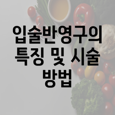 입술반영구의 특징 및 시술 방법