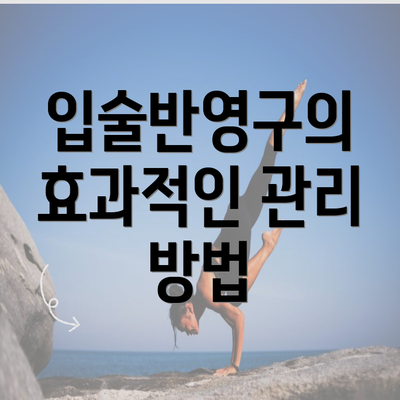 입술반영구의 효과적인 관리 방법