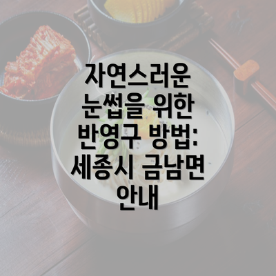 자연스러운 눈썹을 위한 반영구 방법: 세종시 금남면 안내