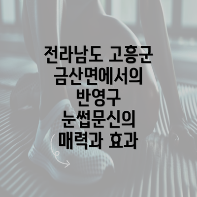 전라남도 고흥군 금산면에서의 반영구 눈썹문신의 매력과 효과