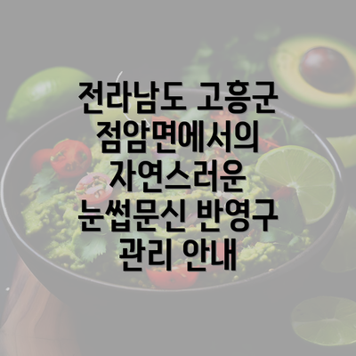 전라남도 고흥군 점암면에서의 자연스러운 눈썹문신 반영구 관리 안내